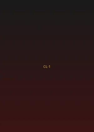 四虎 - 英雄本色经典海报